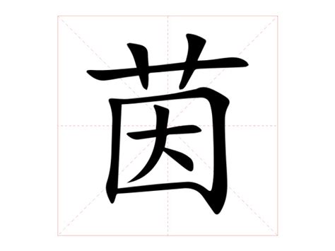 茵字意思|茵的意思